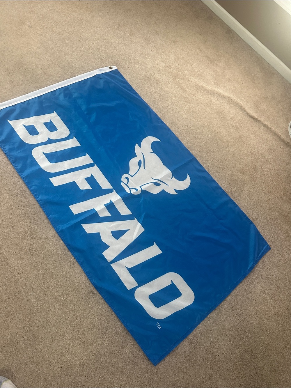 University at Buffalo Blue and white 3x5 Flag